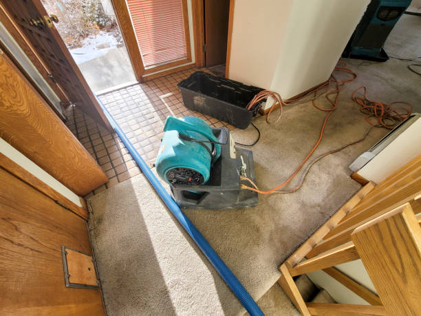 Best Water damage cleanup near me  in Bremen, IN