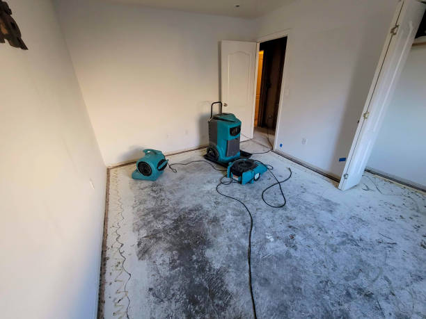 Best Flooded house restoration  in Bremen, IN