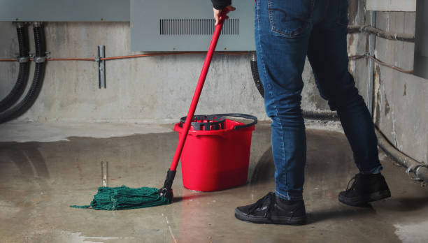Best Mold removal after water damage  in Bremen, IN