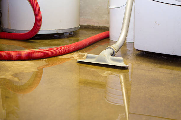 Best Residential water damage restoration  in Bremen, IN