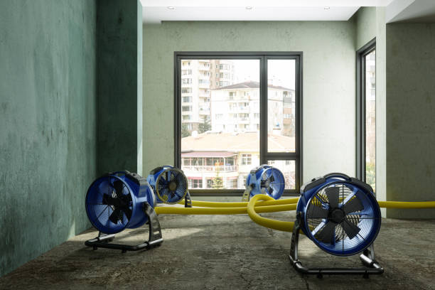 Best Water damage restoration mold remediation  in Bremen, IN
